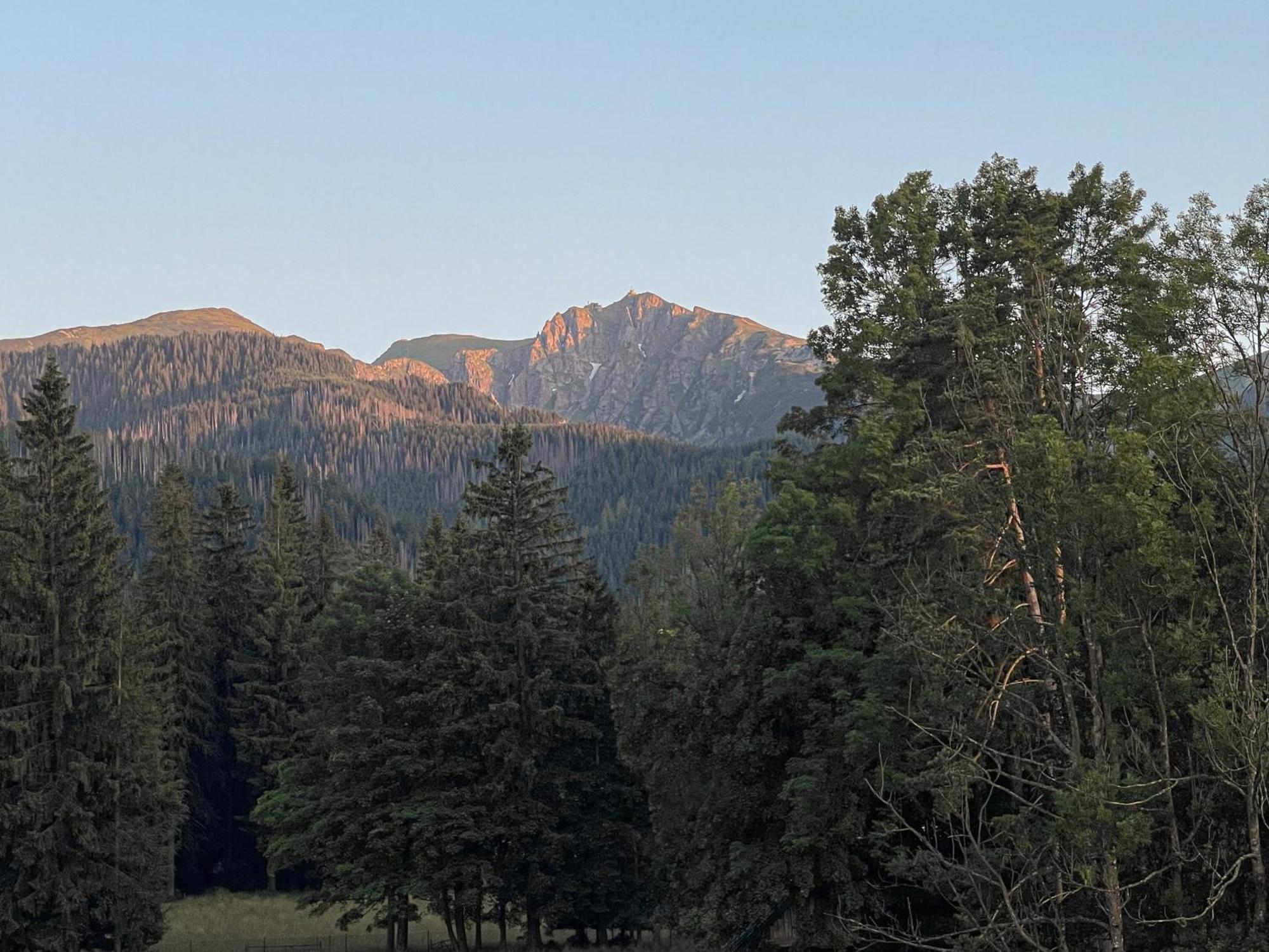 Owca Na Szlaku * Zakopane